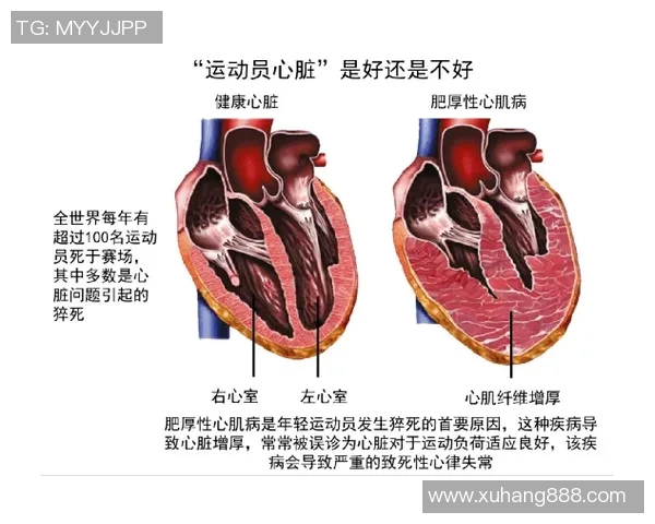 南京飞盘队耐力表现数据分析揭示运动员训练效果与比赛策略的关系