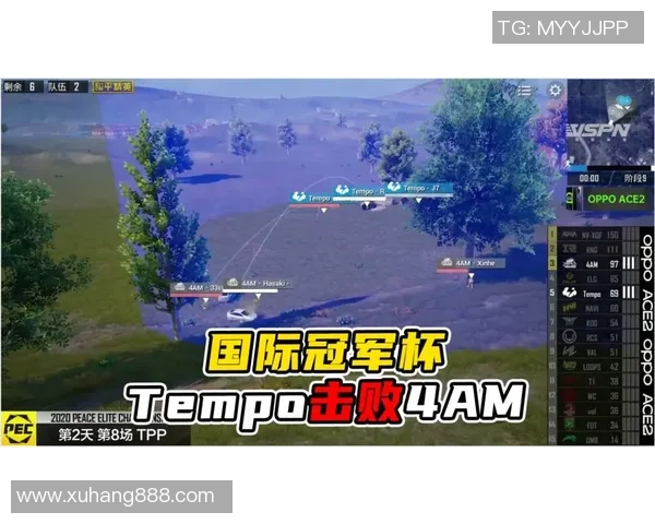 和平精英战术分析:深入探讨WE战队的边路渗透策略与实战应用